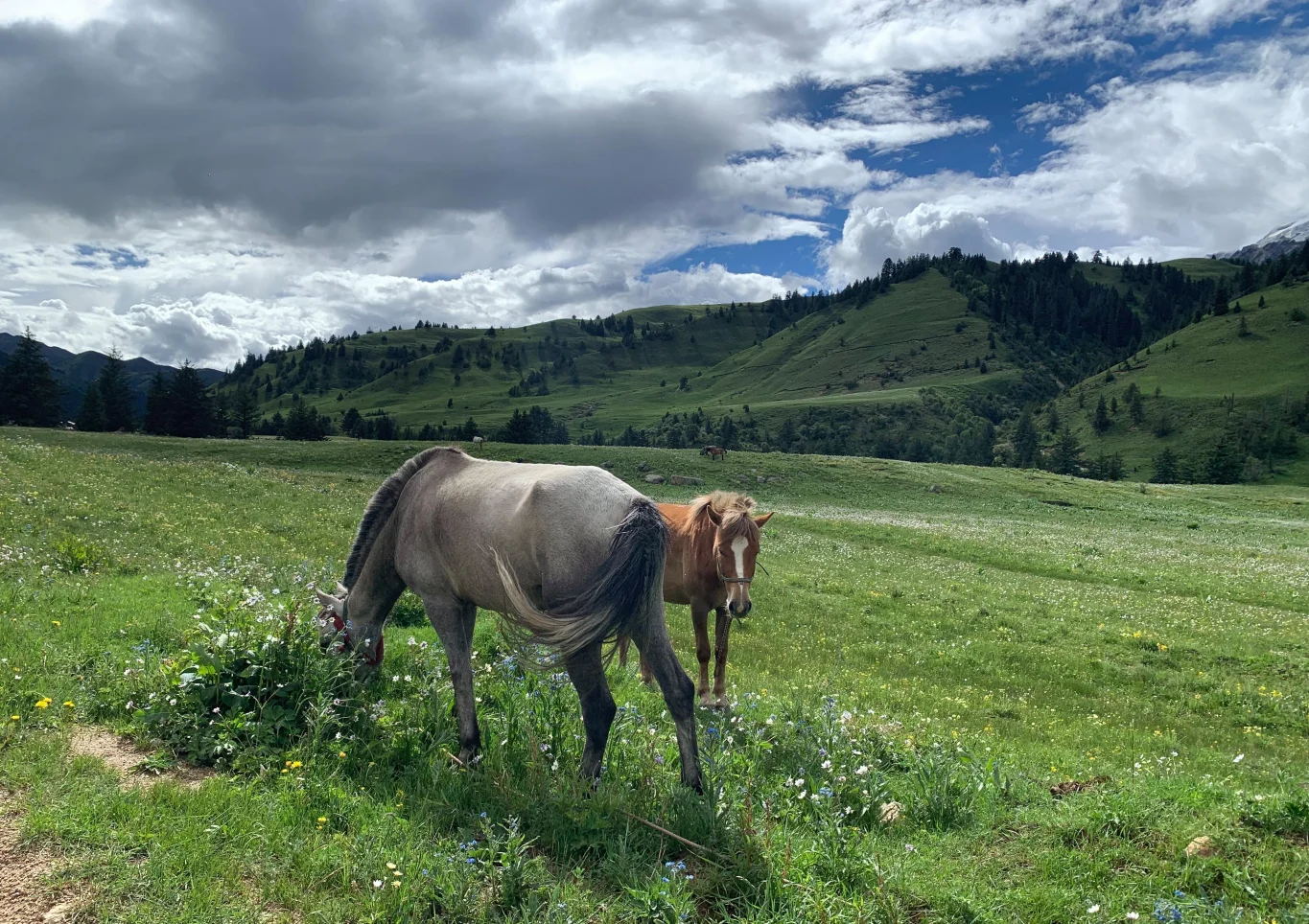 现代摩托车的5个关键词
