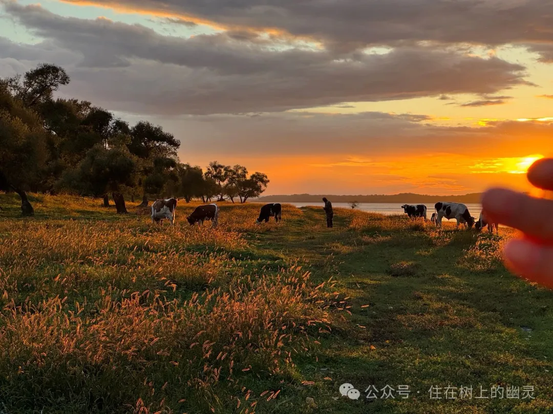 东北摩旅记：找到自己的路