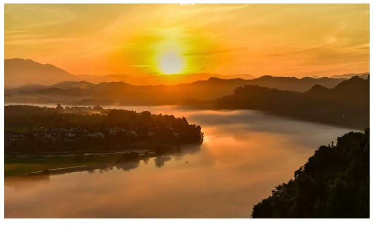 之江花海营造秋日浪漫