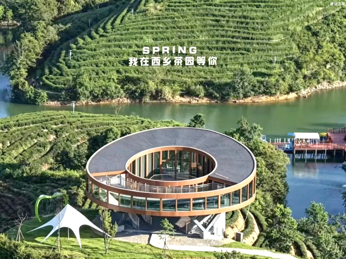 游西乡茶园