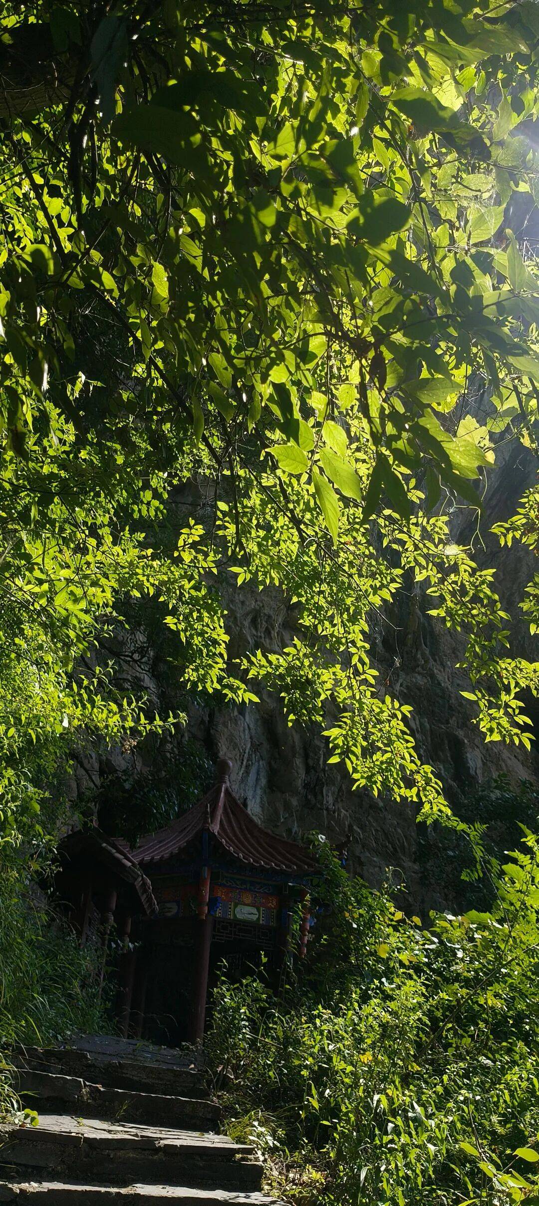 四川到山西摩旅游记二 访古汉源,翻镇巴山,夜宿石泉 四川到山西摩旅游记二 访古汉源,翻镇巴山,夜宿石泉