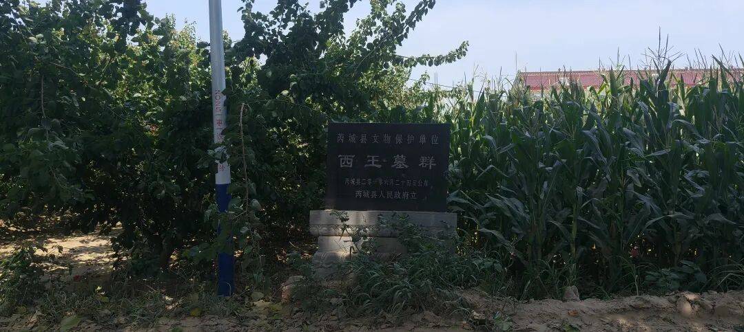 千里单骑走秦晋之六    从华阴到芮城，在历史与现实里穿行