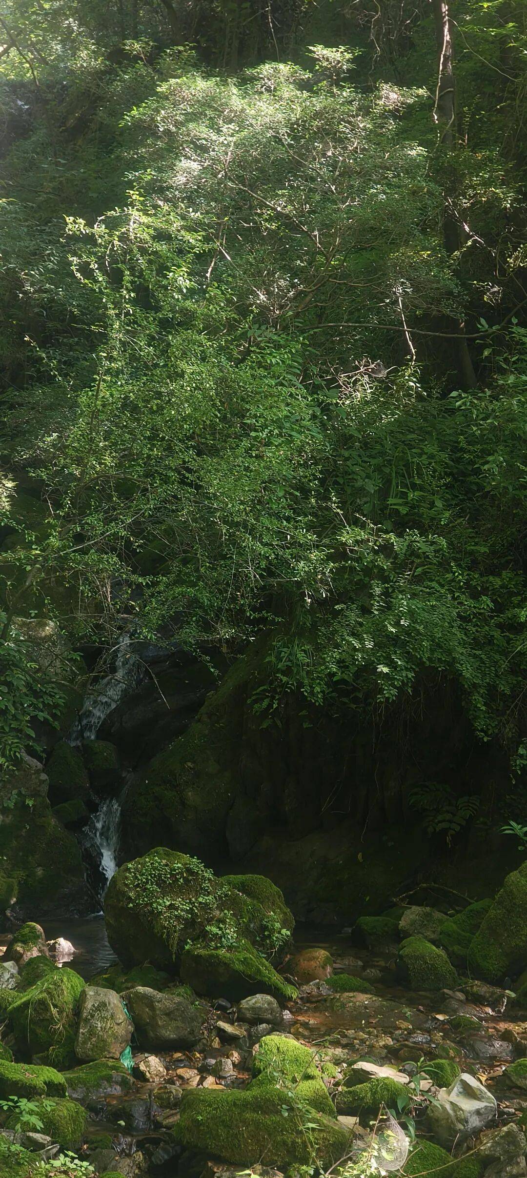 四川到山西摩旅游记二 访古汉源,翻镇巴山,夜宿石泉 四川到山西摩旅游记二 访古汉源,翻镇巴山,夜宿石泉