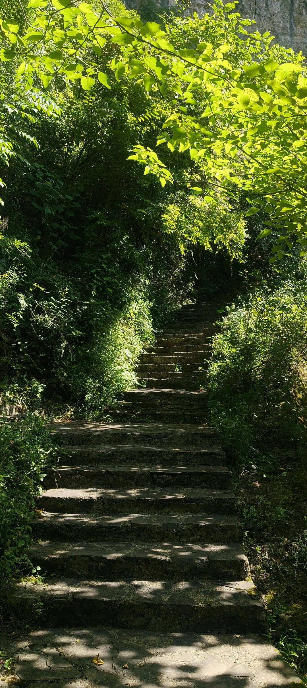 四川到山西摩旅游记二 访古汉源,翻镇巴山,夜宿石泉 四川到山西摩旅游记二 访古汉源,翻镇巴山,夜宿石泉
