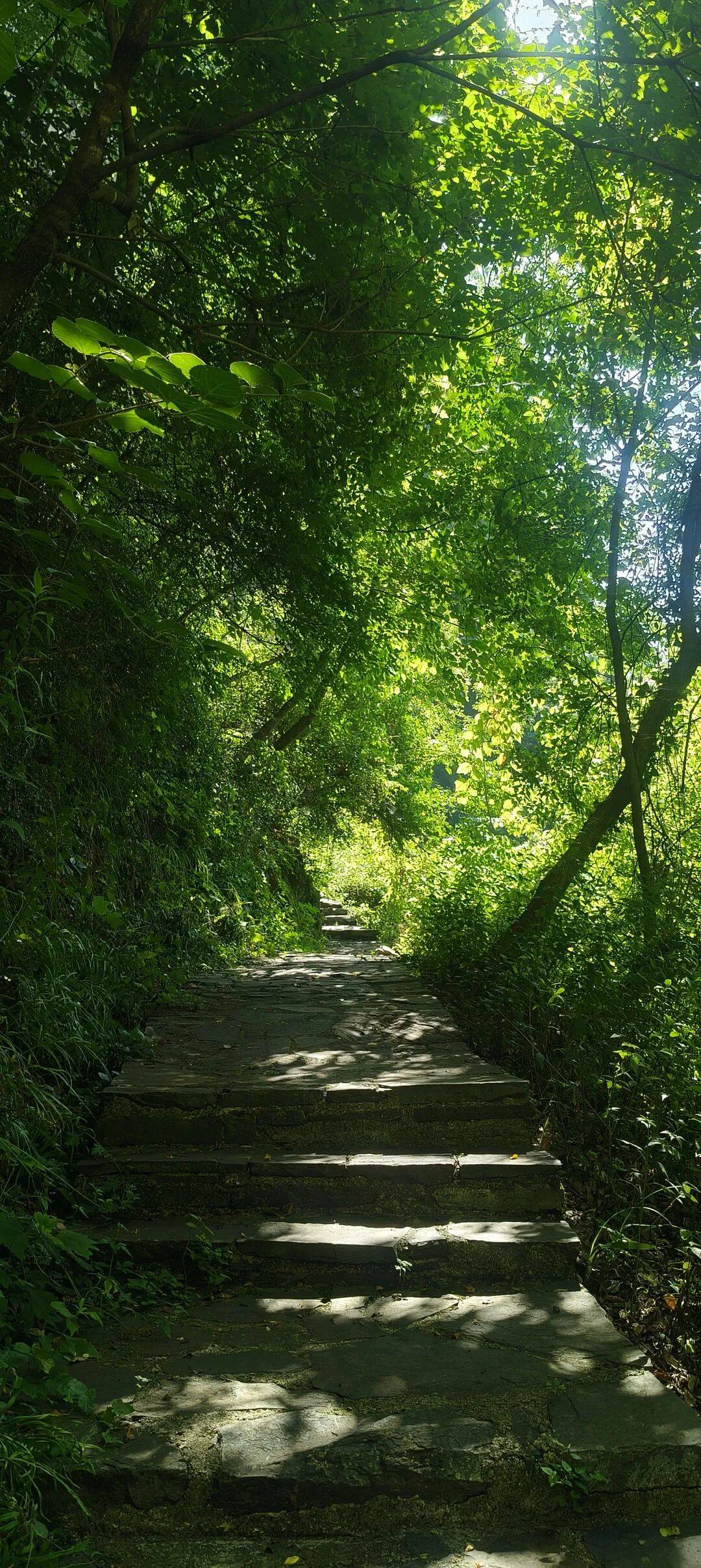 四川到山西摩旅游记二 访古汉源,翻镇巴山,夜宿石泉 四川到山西摩旅游记二 访古汉源,翻镇巴山,夜宿石泉