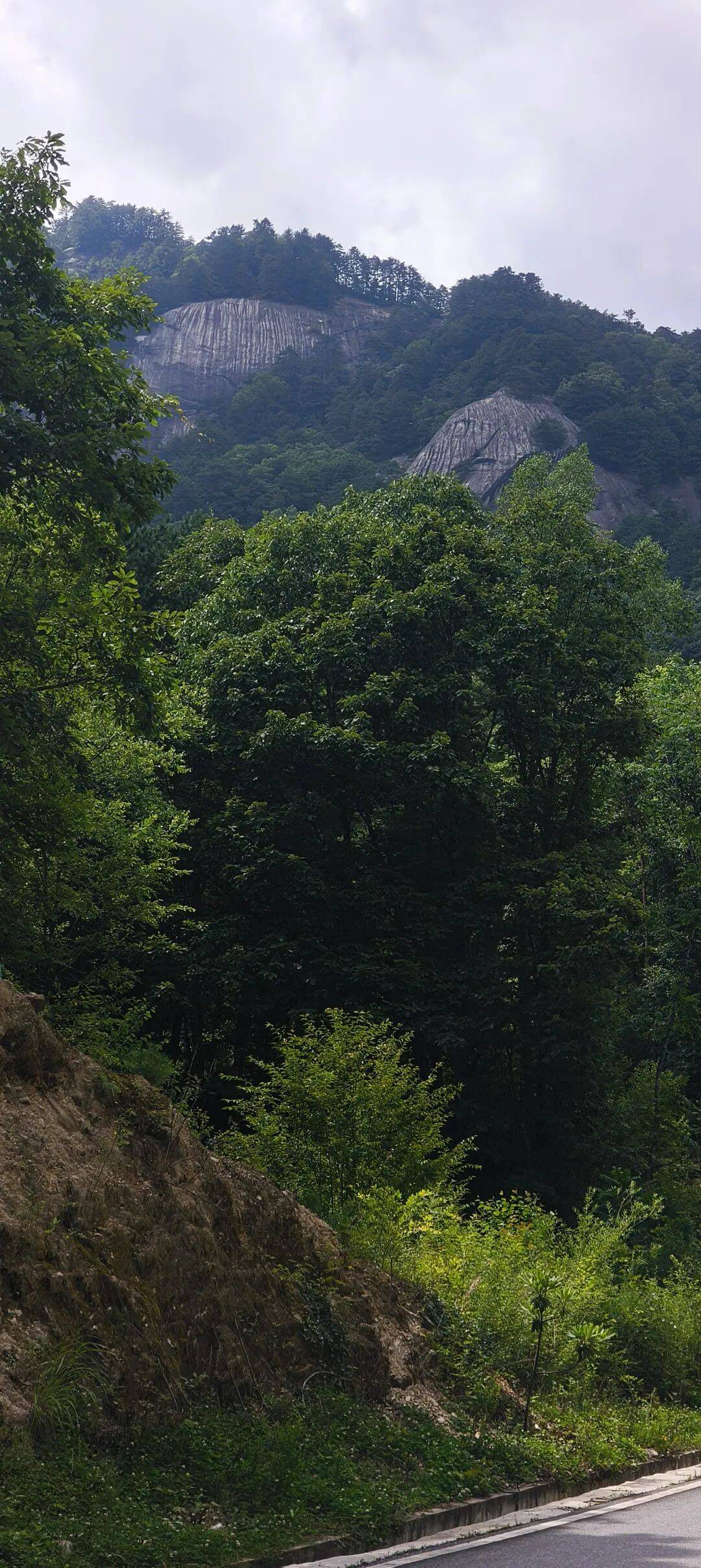 四川到山西摩旅游记三   今天骑不动道，风景太美