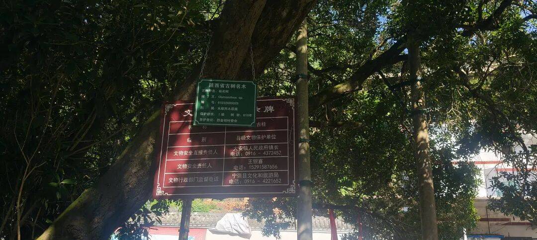 四川到山西摩旅游记二 访古汉源,翻镇巴山,夜宿石泉 四川到山西摩旅游记二 访古汉源,翻镇巴山,夜宿石泉
