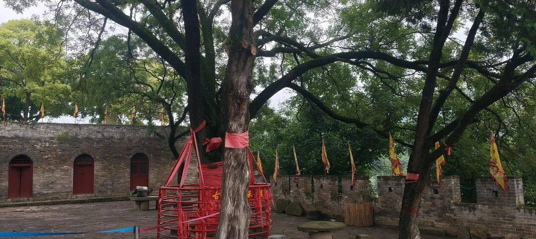 千里单骑走秦晋之十七    在阳城，遇见北朝的佛和一场宏大的死亡