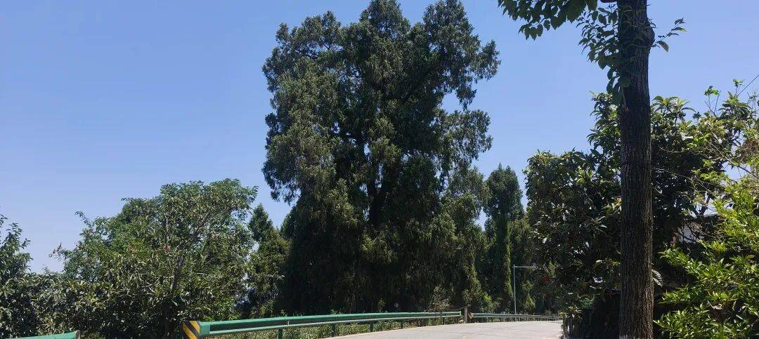 四川到山西摩旅游记一 第一天从四川绵阳跑到了陕西宁强 四川到山西摩旅游记一 第一天从四川绵阳跑到了陕西宁强