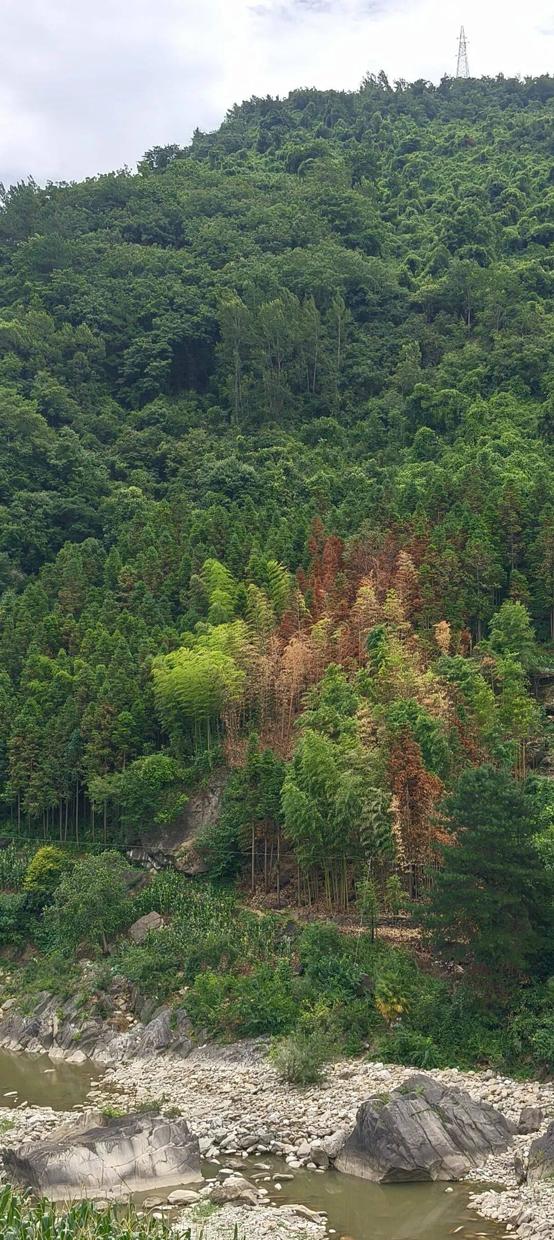 四川到山西摩旅游记三   今天骑不动道，风景太美