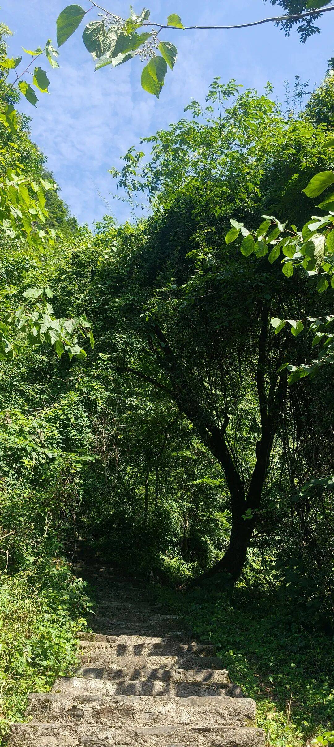 四川到山西摩旅游记二 访古汉源,翻镇巴山,夜宿石泉 四川到山西摩旅游记二 访古汉源,翻镇巴山,夜宿石泉
