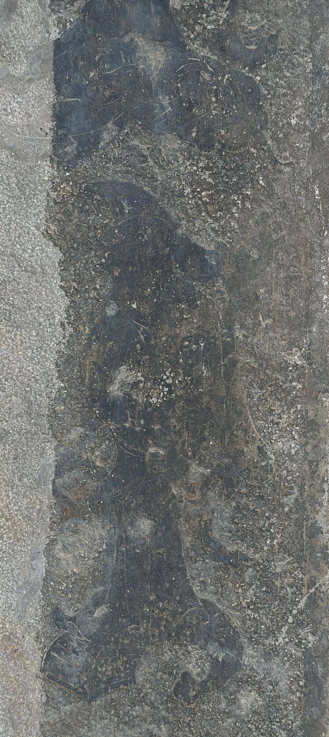 千里单骑走秦晋之十九    八百年前的阳城，父子三人，居然干出这事