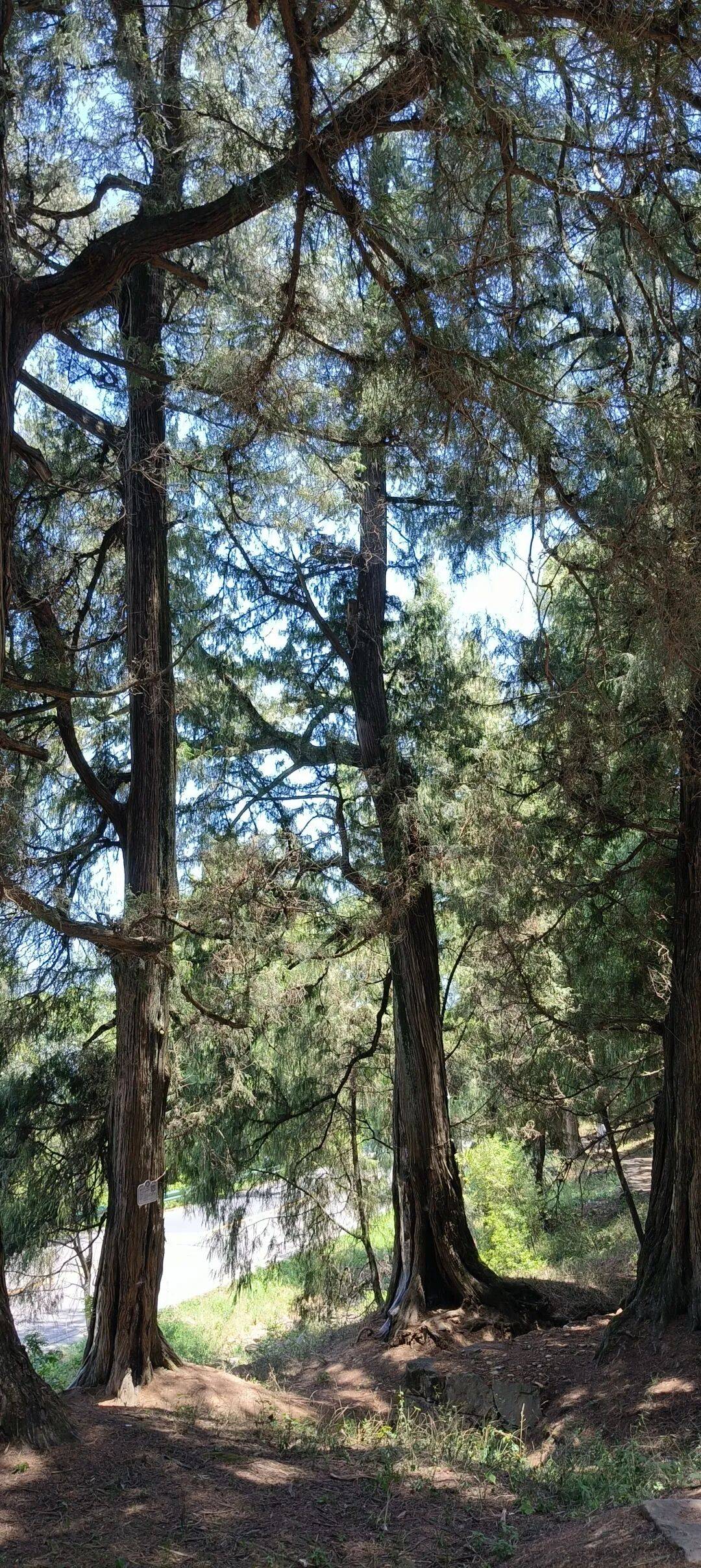 四川到山西摩旅游记一 第一天从四川绵阳跑到了陕西宁强 四川到山西摩旅游记一 第一天从四川绵阳跑到了陕西宁强