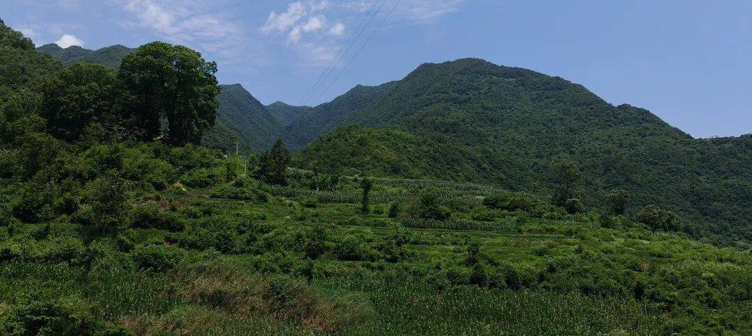 四川到山西摩旅游记三   今天骑不动道，风景太美
