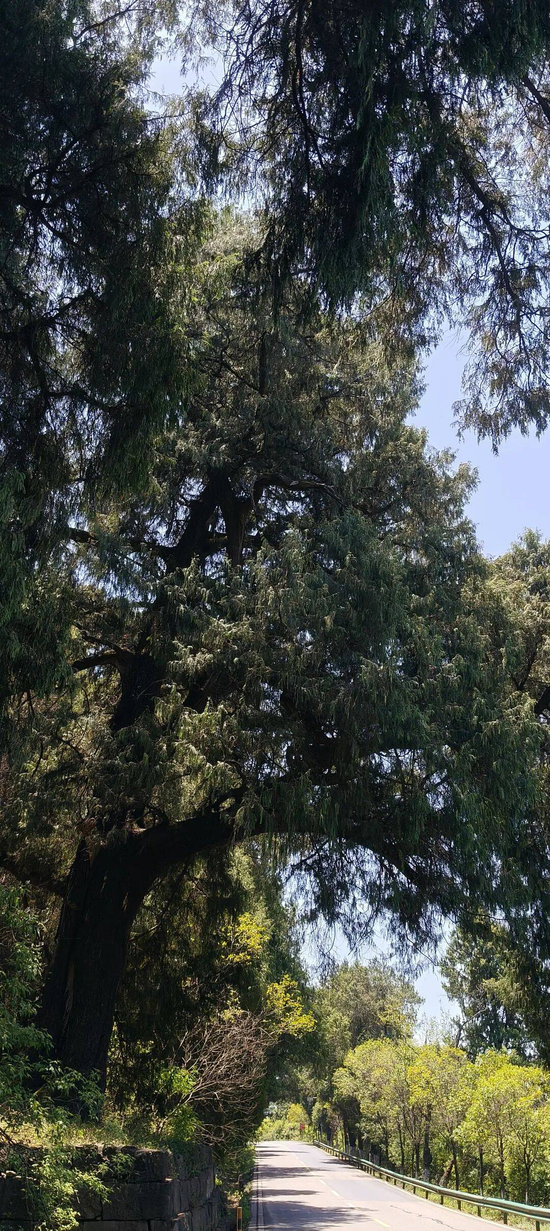 四川到山西摩旅游记一 第一天从四川绵阳跑到了陕西宁强 四川到山西摩旅游记一 第一天从四川绵阳跑到了陕西宁强
