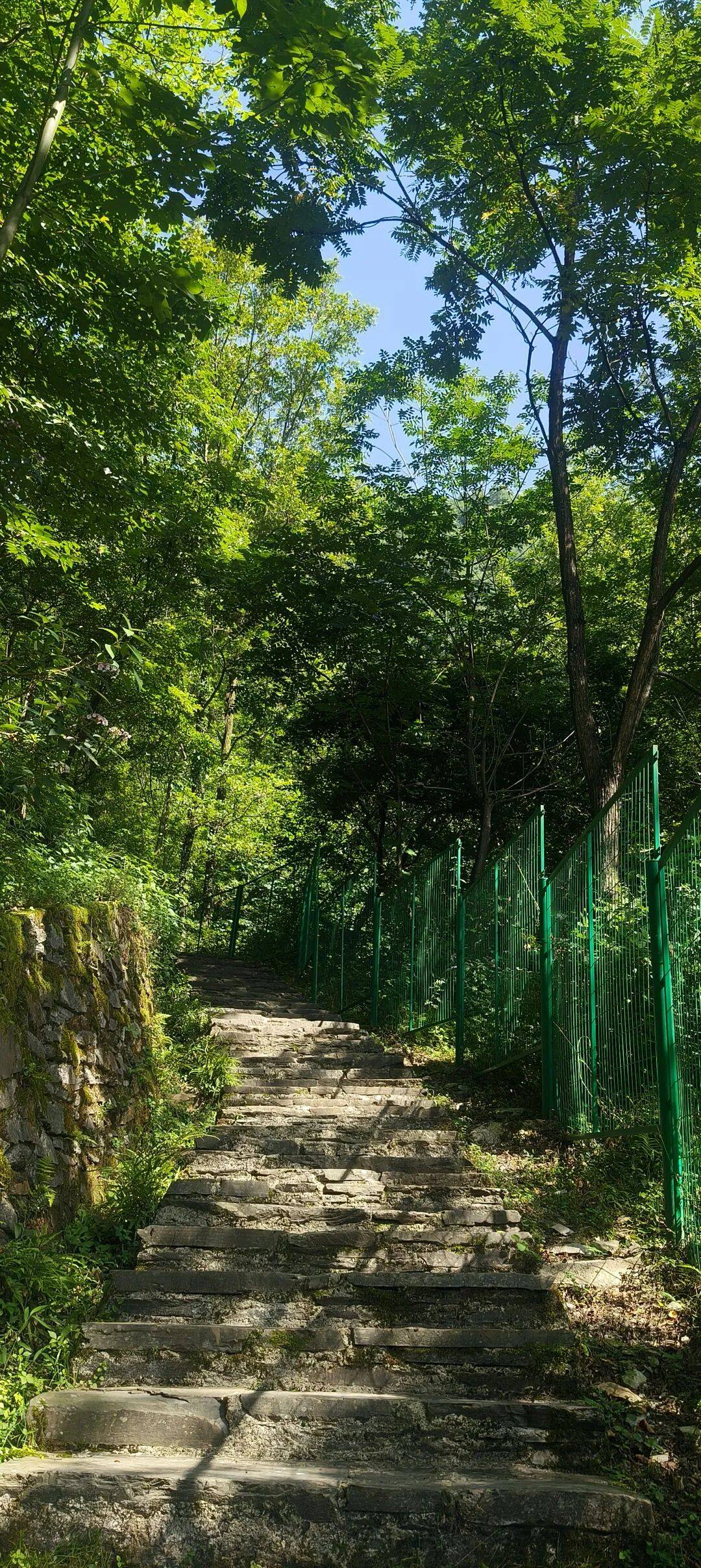 四川到山西摩旅游记二 访古汉源,翻镇巴山,夜宿石泉 四川到山西摩旅游记二 访古汉源,翻镇巴山,夜宿石泉