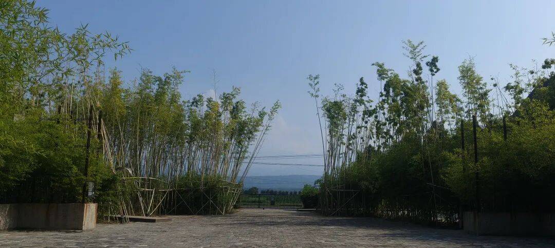 千里单骑走秦晋之六    从华阴到芮城，在历史与现实里穿行