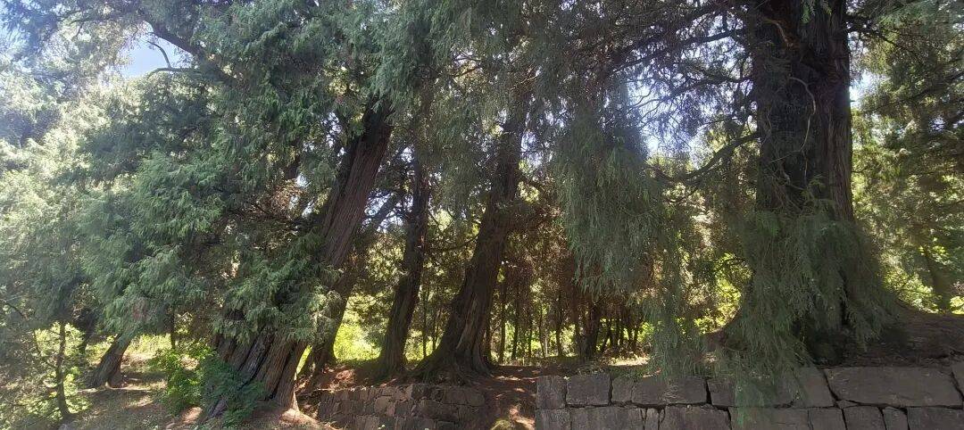 四川到山西摩旅游记一 第一天从四川绵阳跑到了陕西宁强 四川到山西摩旅游记一 第一天从四川绵阳跑到了陕西宁强