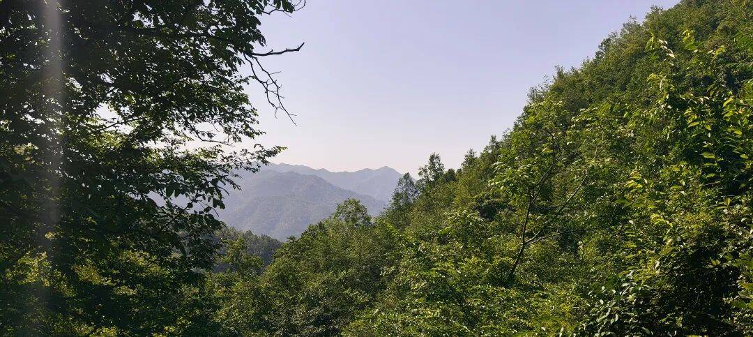 四川到山西摩旅游记二 访古汉源,翻镇巴山,夜宿石泉 四川到山西摩旅游记二 访古汉源,翻镇巴山,夜宿石泉