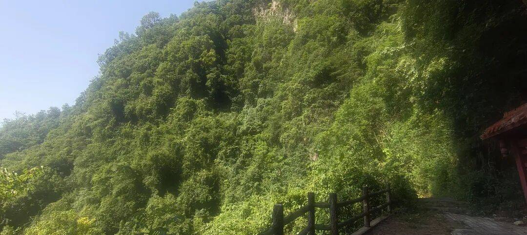四川到山西摩旅游记二 访古汉源,翻镇巴山,夜宿石泉 四川到山西摩旅游记二 访古汉源,翻镇巴山,夜宿石泉