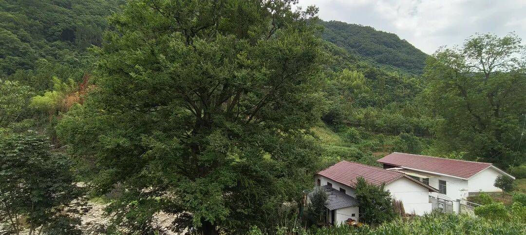 四川到山西摩旅游记三   今天骑不动道，风景太美