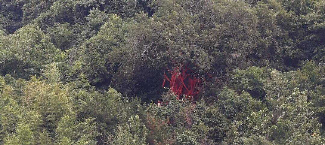 四川到山西摩旅游记三   今天骑不动道，风景太美