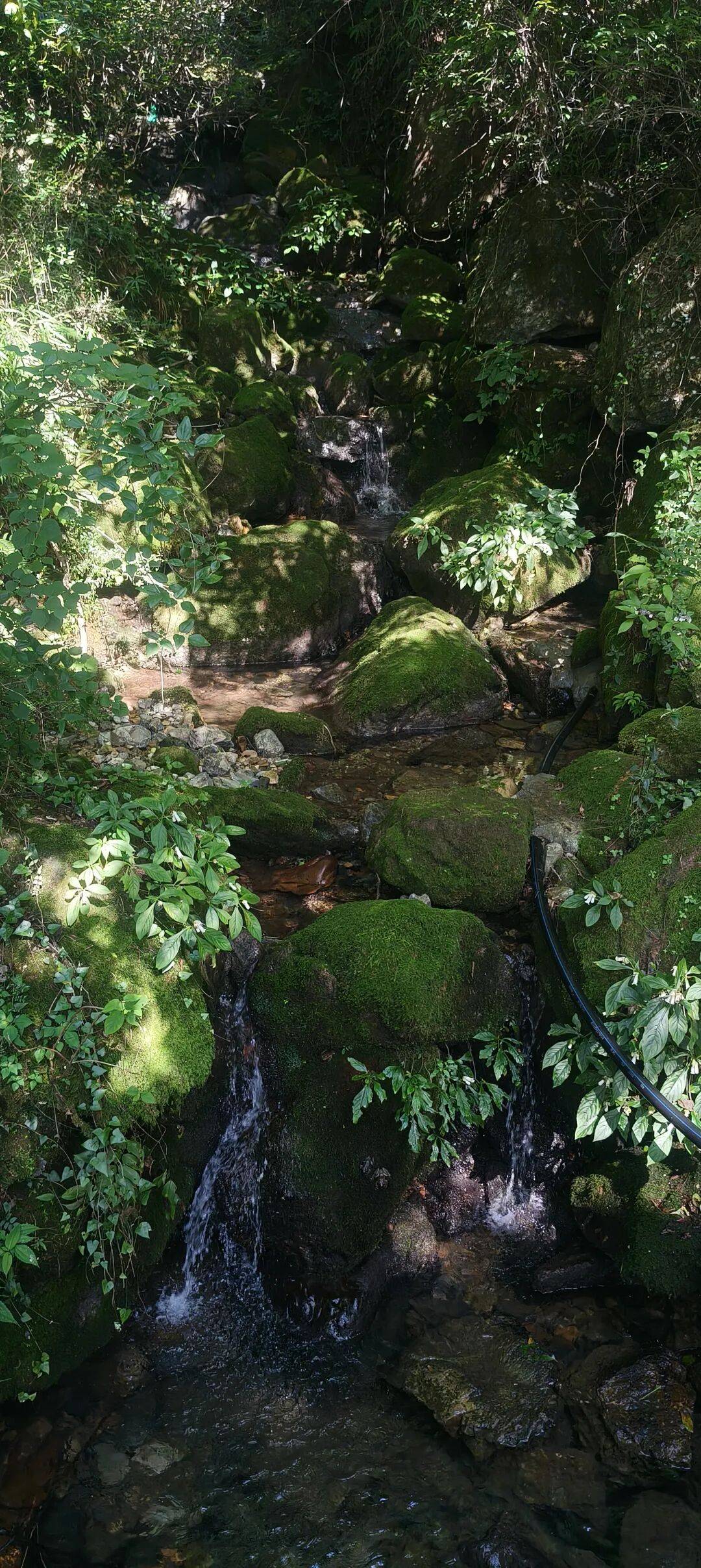 四川到山西摩旅游记二 访古汉源,翻镇巴山,夜宿石泉 四川到山西摩旅游记二 访古汉源,翻镇巴山,夜宿石泉