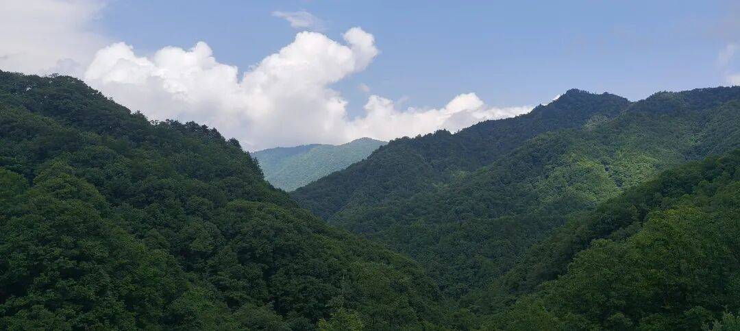 四川到山西摩旅游记三   今天骑不动道，风景太美