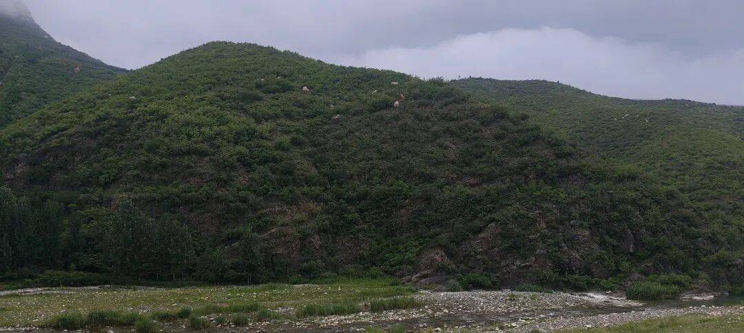 千里单骑走秦晋之十六 旷野、雨天、狂风、大雾、海拔 1500+,最孤独的盘山公路 千里单骑走秦晋之十六 旷野、雨天、狂风、大雾、海拔 1500+,最孤独的盘山公路
