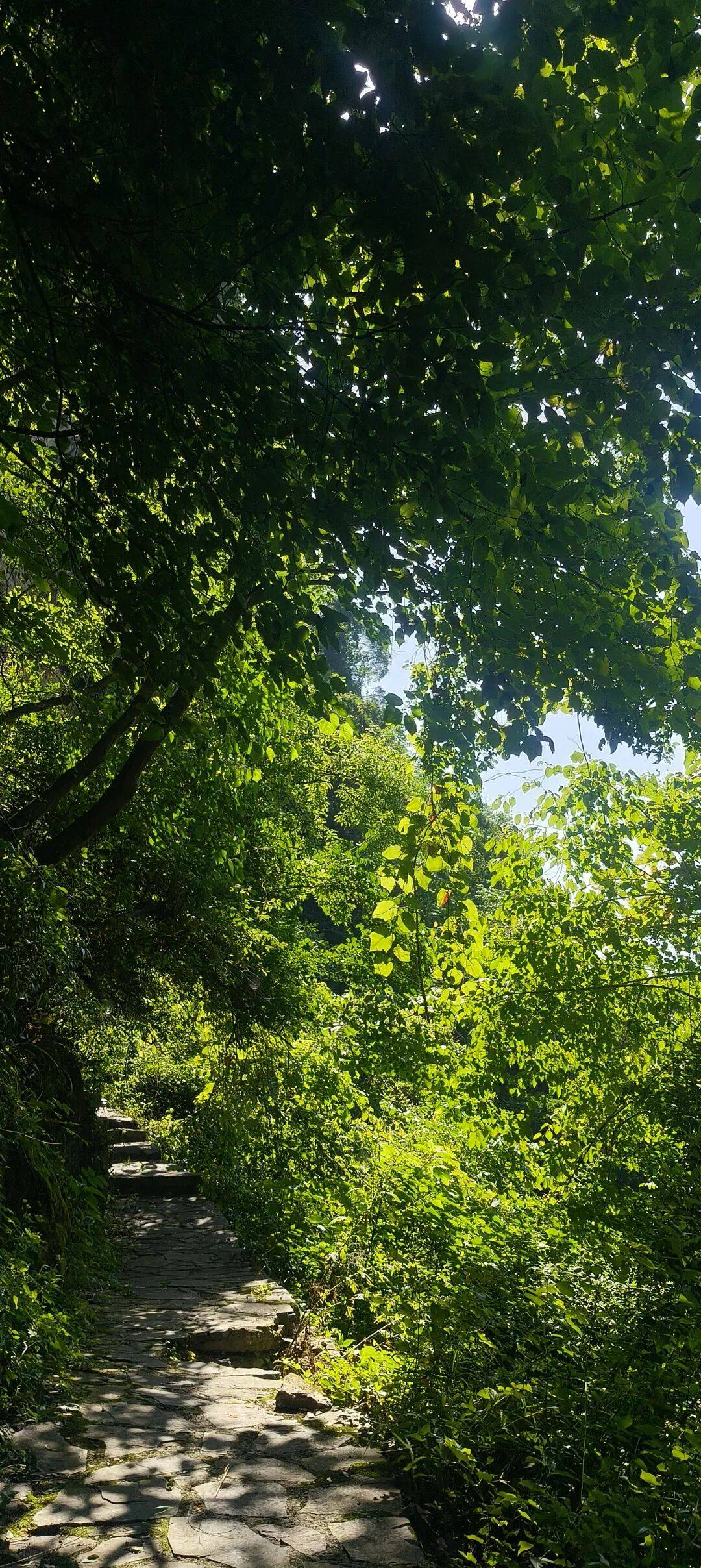 四川到山西摩旅游记二 访古汉源,翻镇巴山,夜宿石泉 四川到山西摩旅游记二 访古汉源,翻镇巴山,夜宿石泉