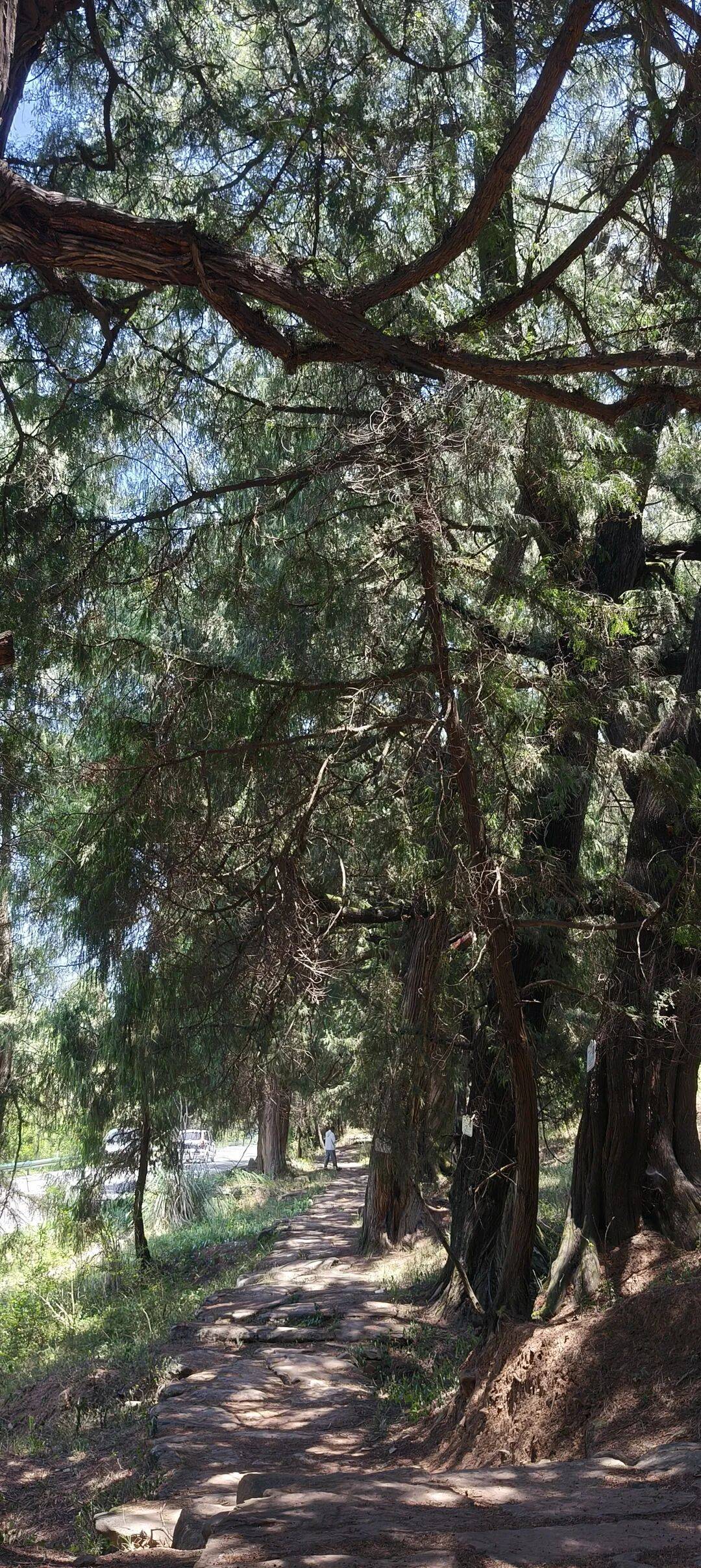 四川到山西摩旅游记一 第一天从四川绵阳跑到了陕西宁强 四川到山西摩旅游记一 第一天从四川绵阳跑到了陕西宁强
