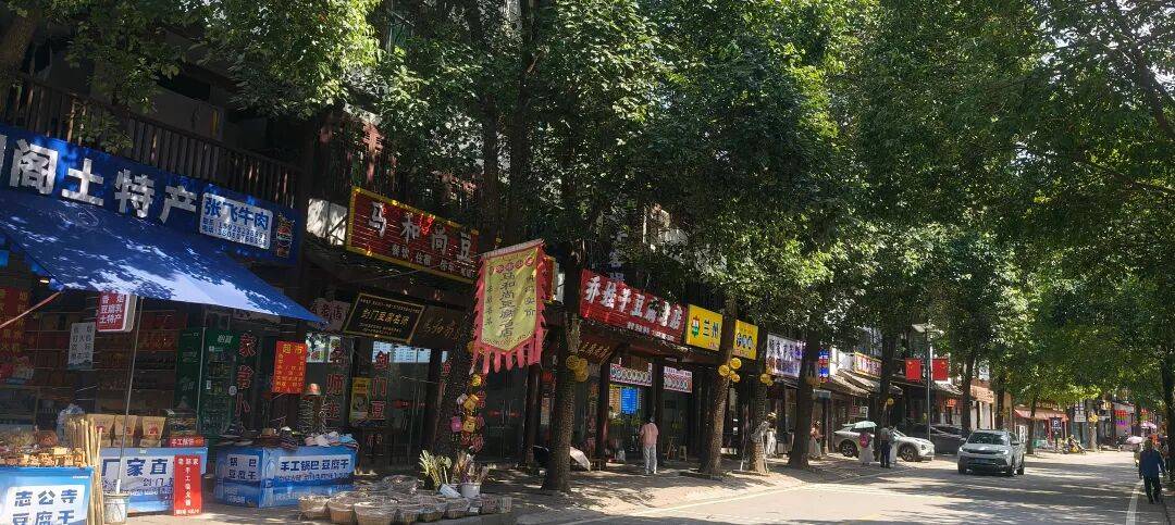 千里单骑走秦晋之三十九    从旺苍到厚坝，金牛古道和荒野独行 (返程番外篇)