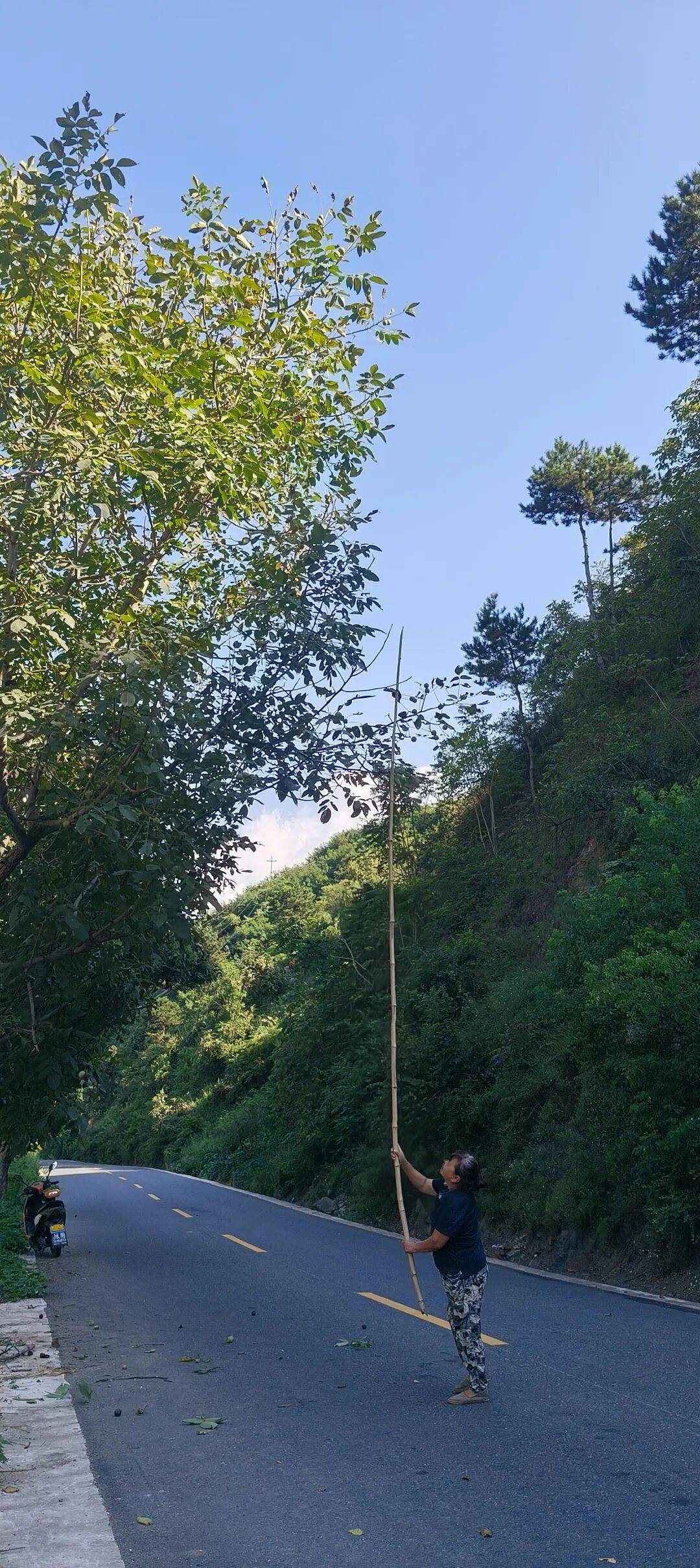 千里单骑走秦晋之三十五：从河南卢氏县到陕西山阳县，遇见五里川绝美丹崖仙境