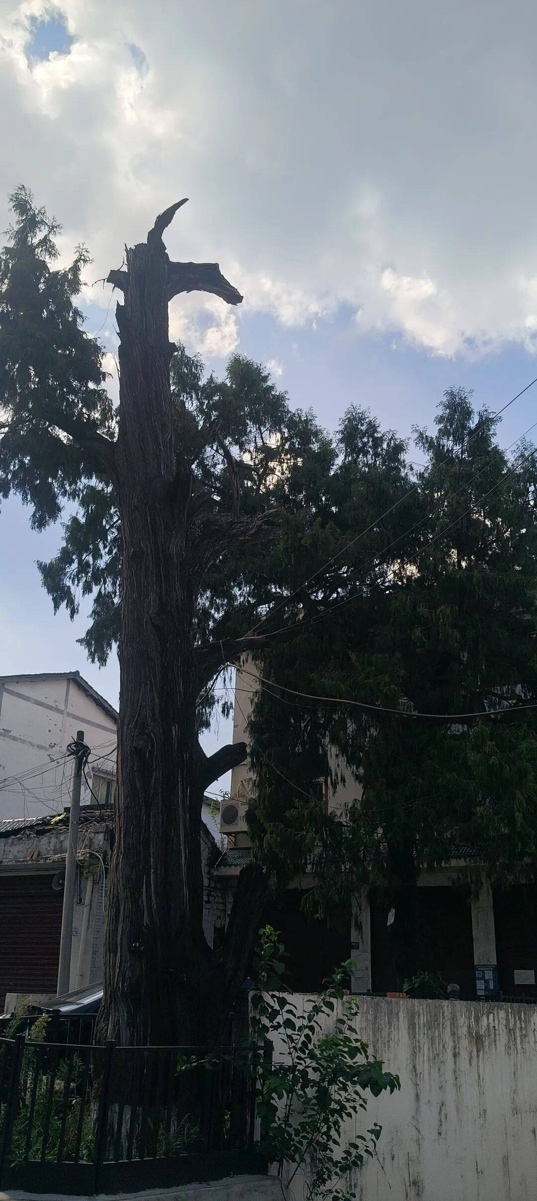 千里单骑走秦晋之三十九    从旺苍到厚坝，金牛古道和荒野独行 (返程番外篇)