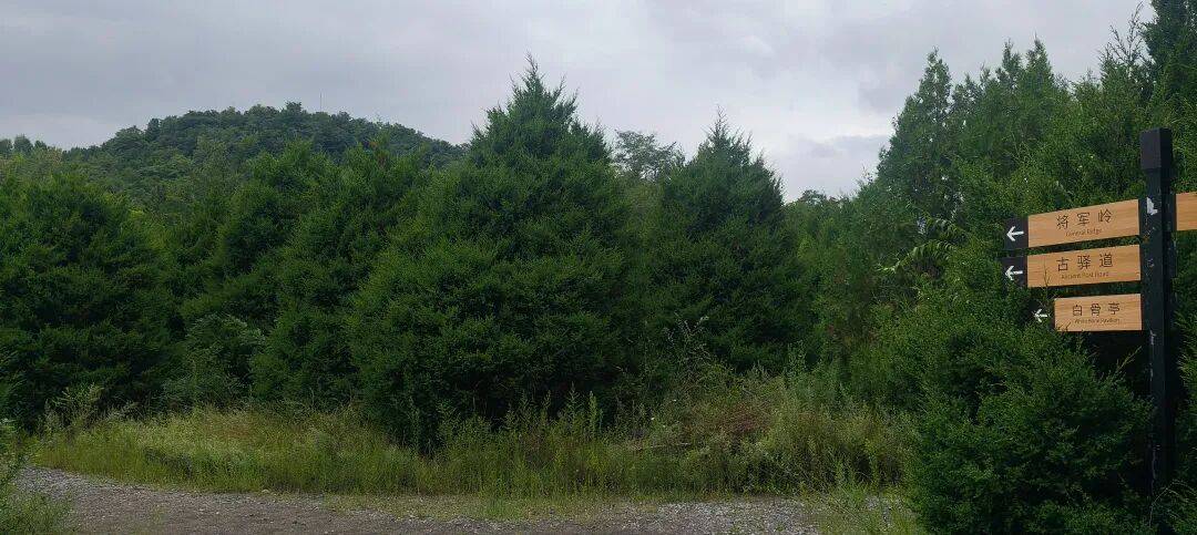 千里单骑走秦晋之二十五   长平古战场吊古、满公山寻野窟、古中庙遇见元代藻井