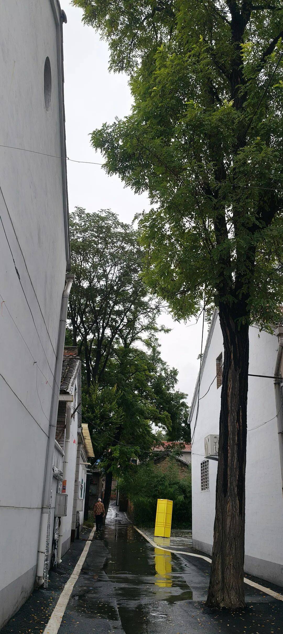 千里单骑走秦晋之二十四    在高平，冒雨游铁佛寺，躲进博物馆