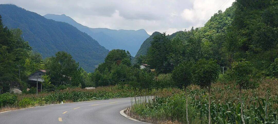 千里单骑走秦晋之三十七：经汉阴、镇巴、高川入蜀，翻越大巴山 300 公里