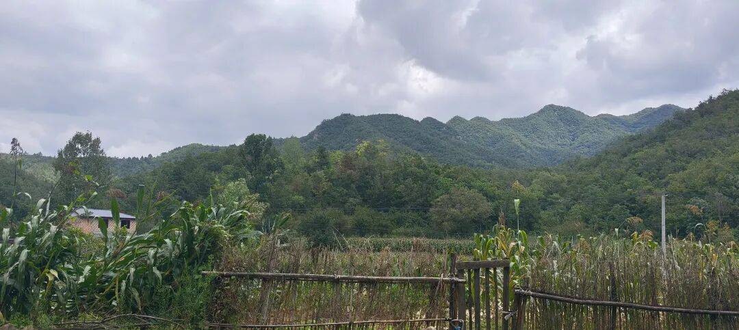 千里单骑走秦晋之三十五：从河南卢氏县到陕西山阳县，遇见五里川绝美丹崖仙境