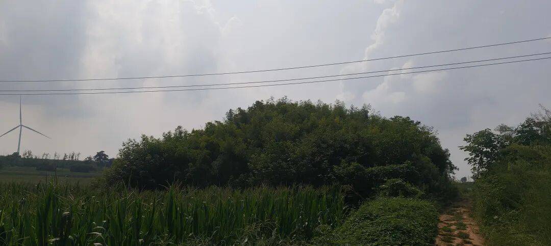 千里单骑走秦晋之三十三  返程番外篇   在洛阳，访新安函谷关、宜阳访石敬瑭墓、韩国故城遗址