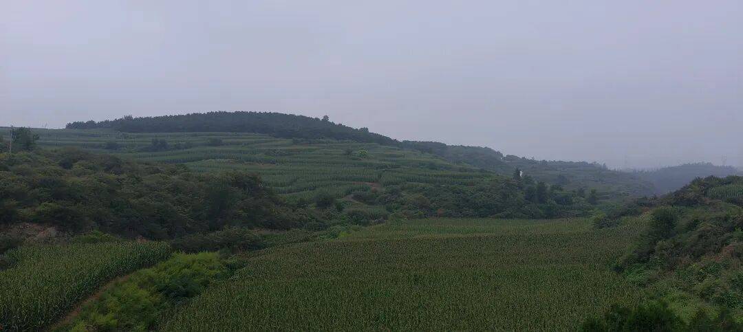千里单骑走秦晋之三十：在高平崇明寺，遇上最早的宋代建筑，淋了一场大雨去冶底，看到活着的冶底岱庙