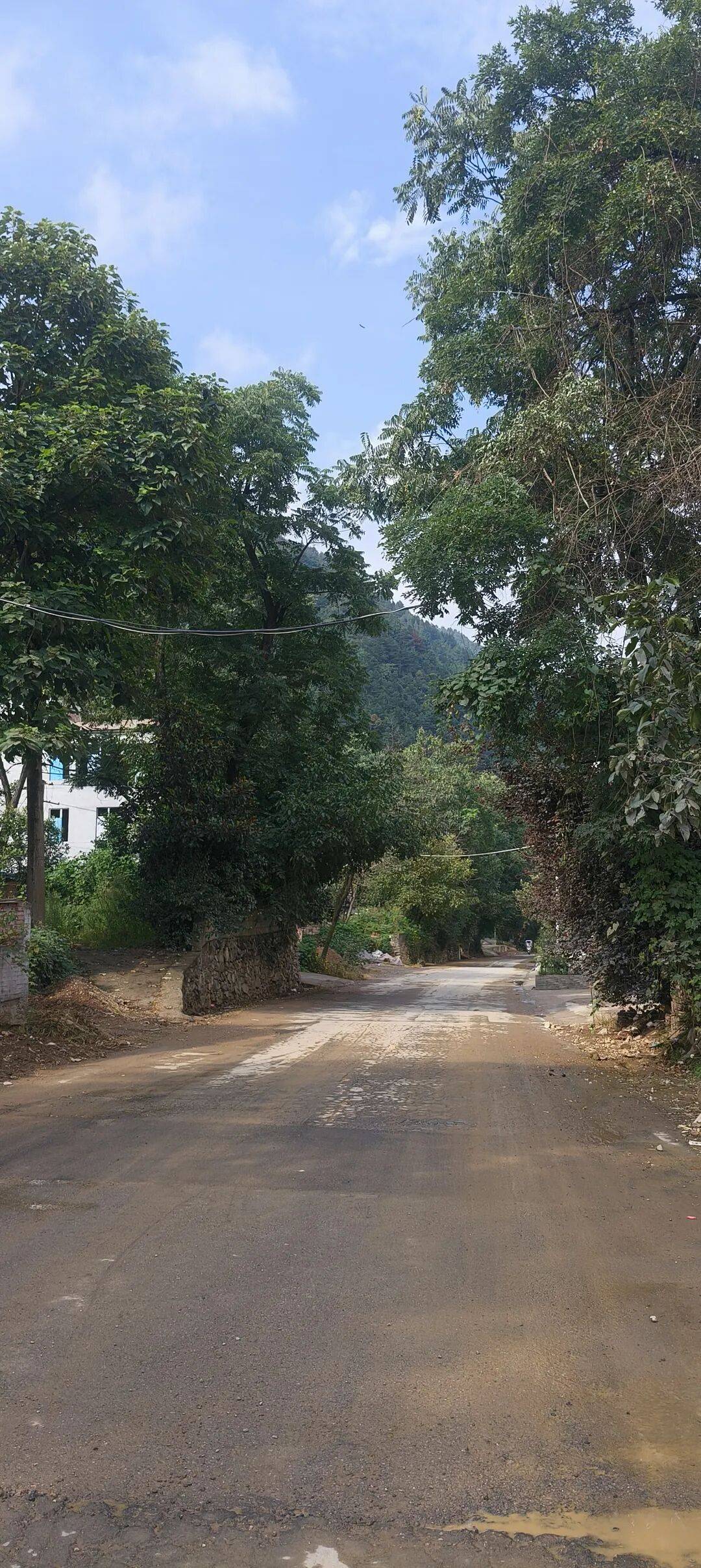千里单骑走秦晋之三十六：秦岭南坡摩旅三百公里，从山阳县到安康恒口镇