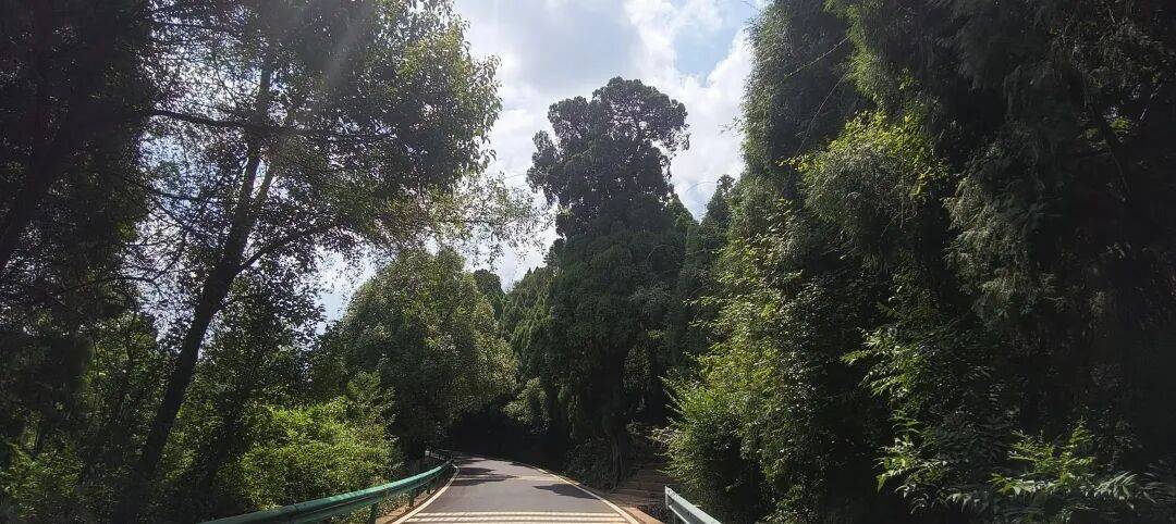 千里单骑走秦晋之三十九    从旺苍到厚坝，金牛古道和荒野独行 (返程番外篇)