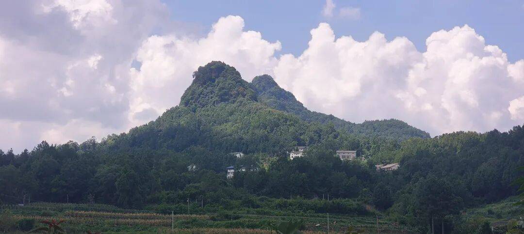 千里单骑走秦晋之三十九    从旺苍到厚坝，金牛古道和荒野独行 (返程番外篇)