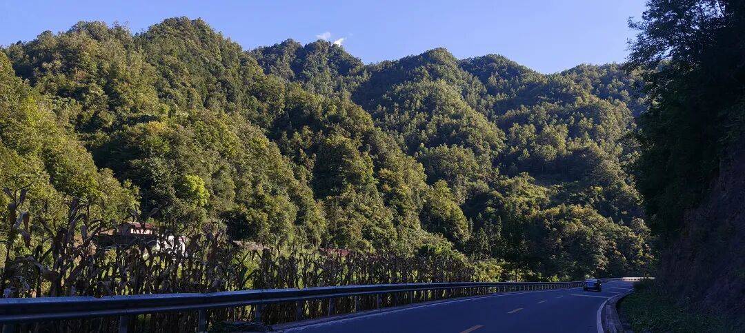 千里单骑走秦晋之三十七：经汉阴、镇巴、高川入蜀，翻越大巴山 300 公里