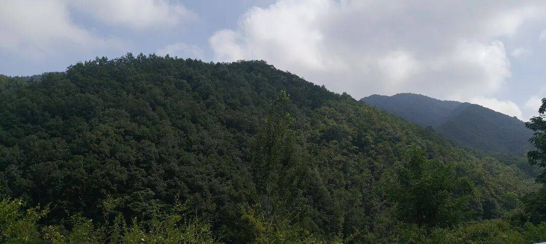 千里单骑走秦晋之三十五：从河南卢氏县到陕西山阳县，遇见五里川绝美丹崖仙境