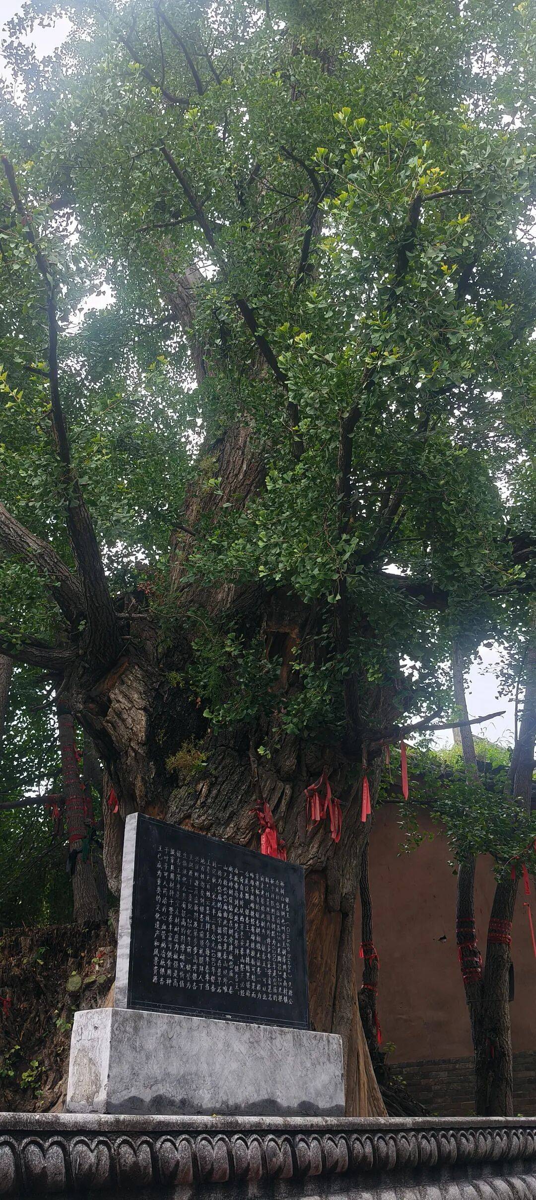 千里单骑走秦晋之三十：在高平崇明寺，遇上最早的宋代建筑，淋了一场大雨去冶底，看到活着的冶底岱庙