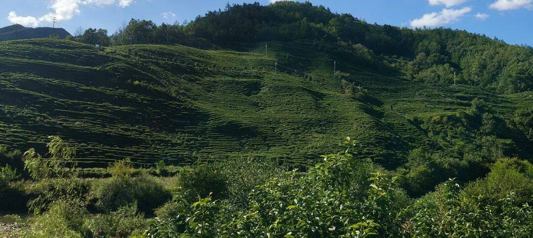 千里单骑走秦晋之三十七：经汉阴、镇巴、高川入蜀，翻越大巴山 300 公里