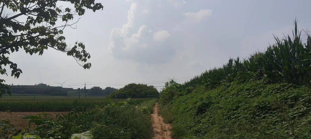 千里单骑走秦晋之三十三  返程番外篇   在洛阳，访新安函谷关、宜阳访石敬瑭墓、韩国故城遗址