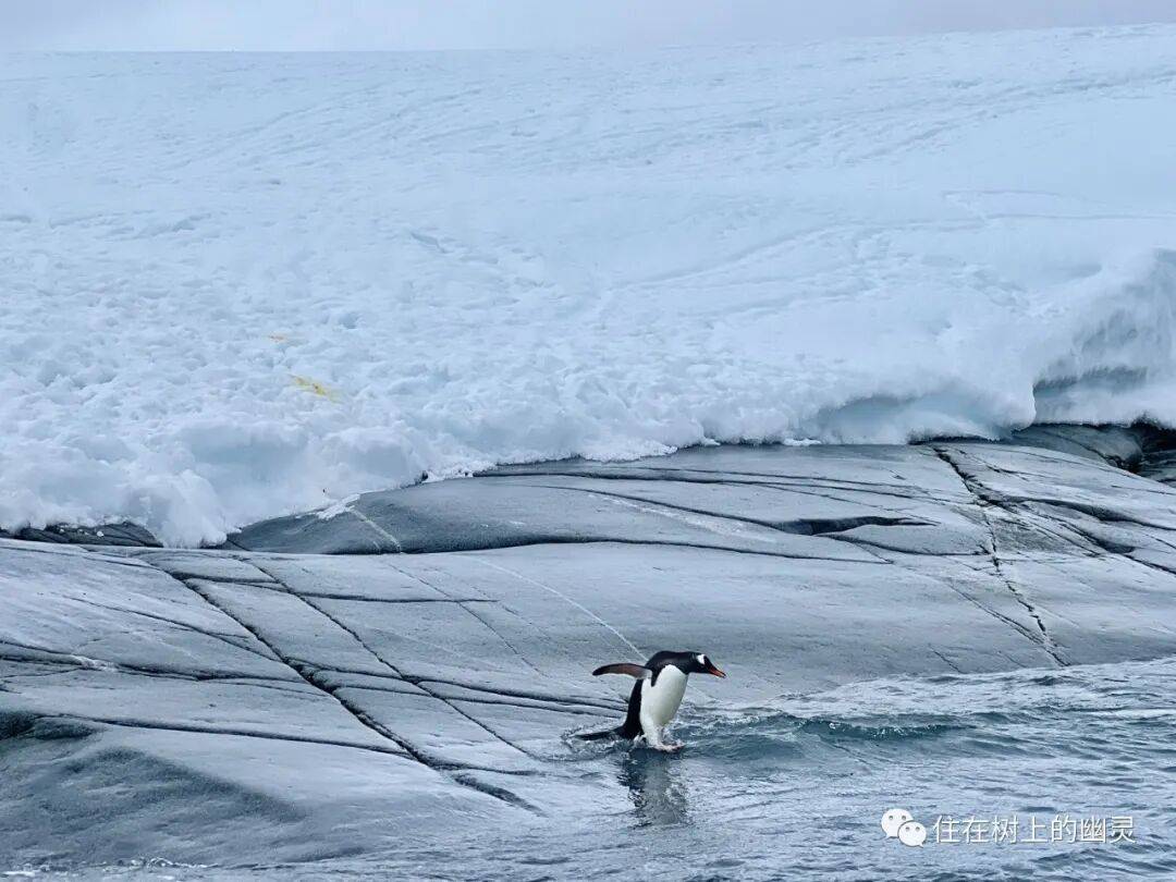 摩旅去南极：致永恒的旅行（含南极攻略）