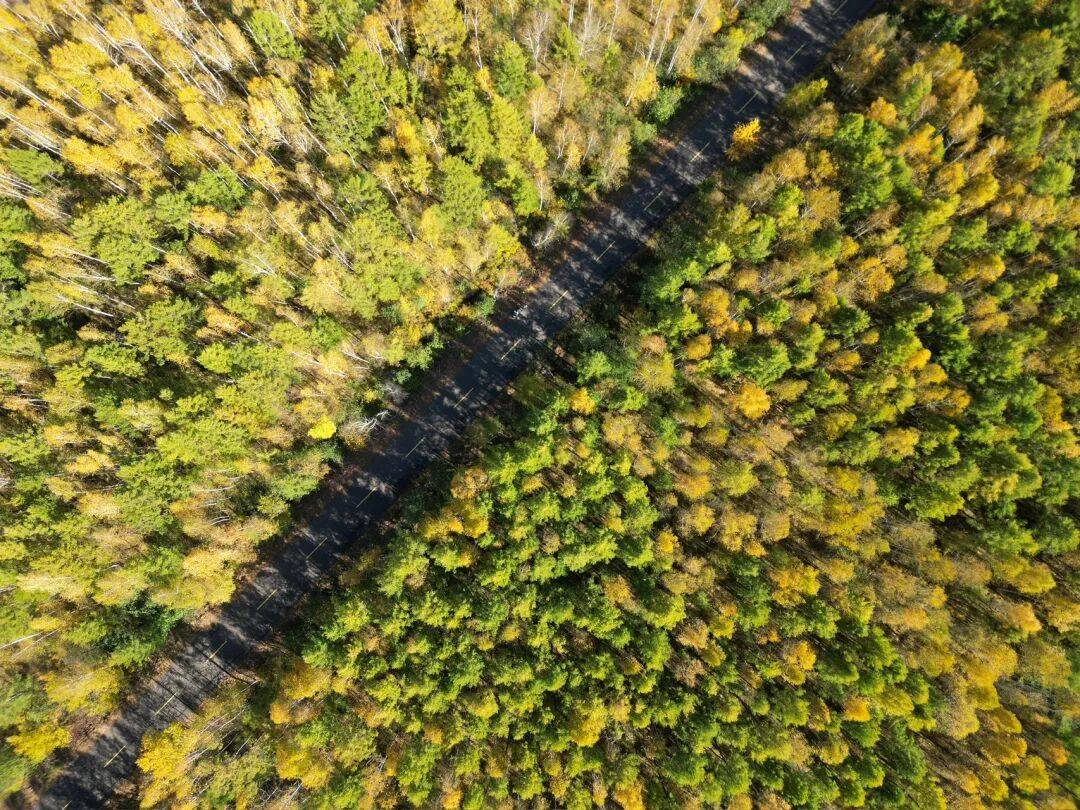 摩旅东北记：乘风而游，自在山河